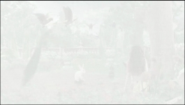 Parul - 13th April 2025